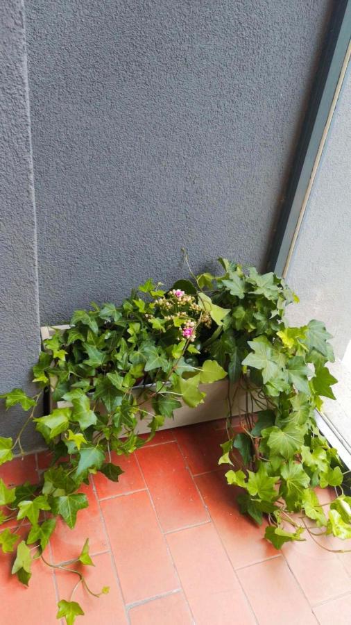 So Fine Petruzzelli Flat Lägenhet Bari Exteriör bild